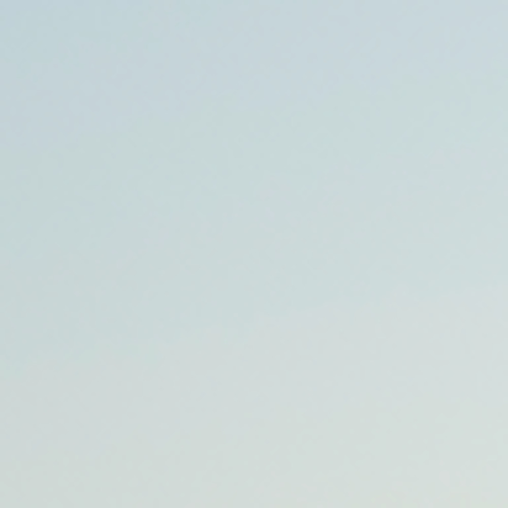 Meet your Posher, Dannielle